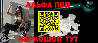 твердый Кингисепп