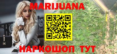 твердый Кингисепп